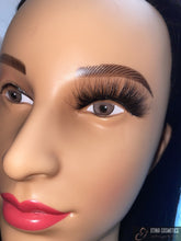 Load image into Gallery viewer, Ceci Lash Xtina Cosmetics
